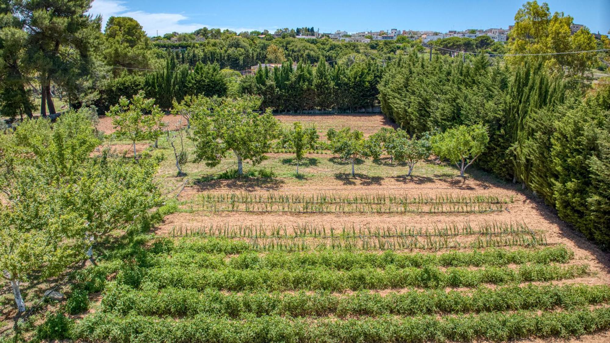Biomasseria Santa Lucia Alessano Exteriér fotografie