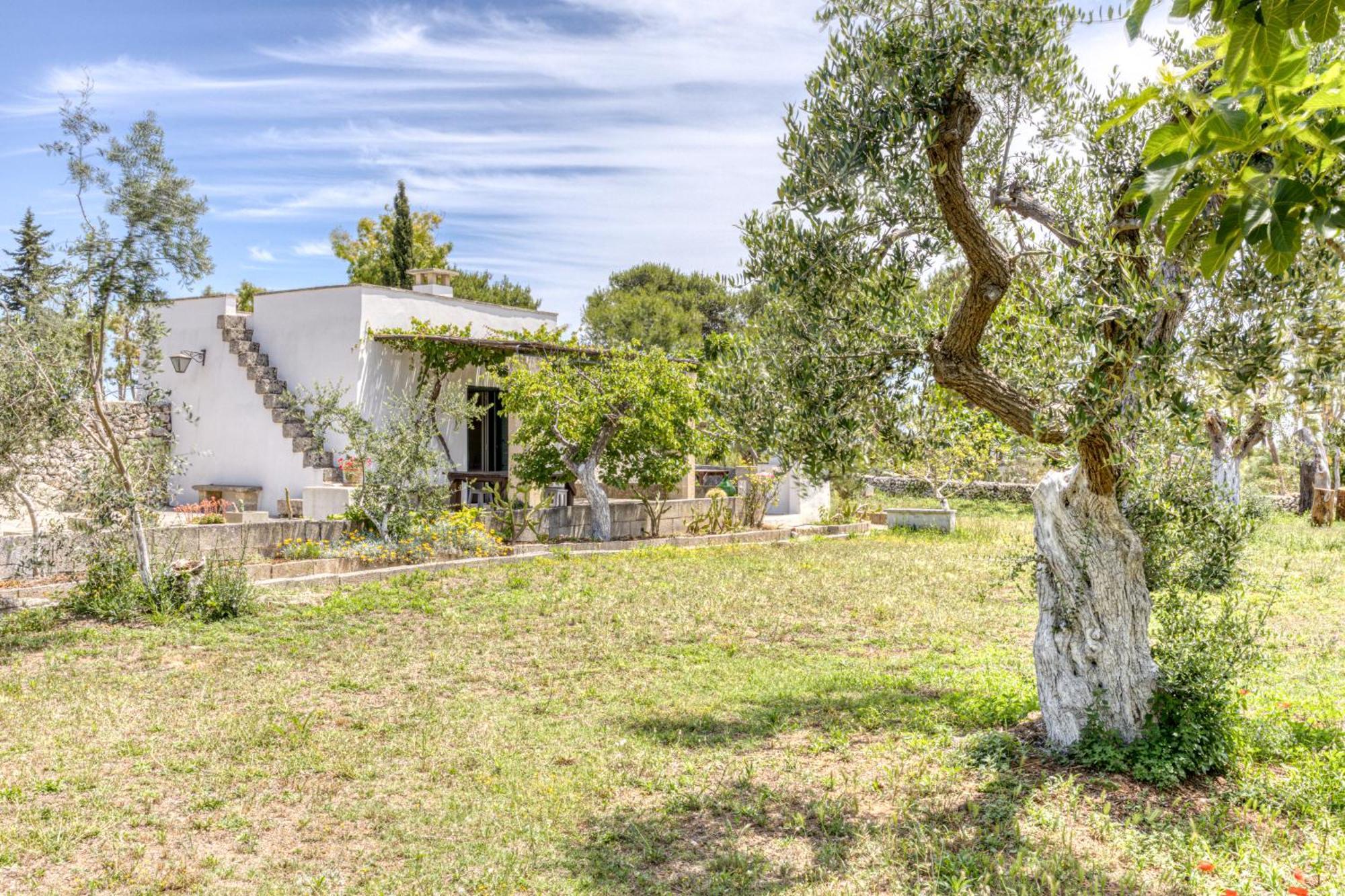 Biomasseria Santa Lucia Alessano Exteriér fotografie